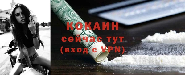 прущий лед Богородицк