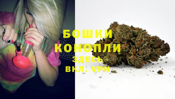 ALPHA PVP Сосновоборск